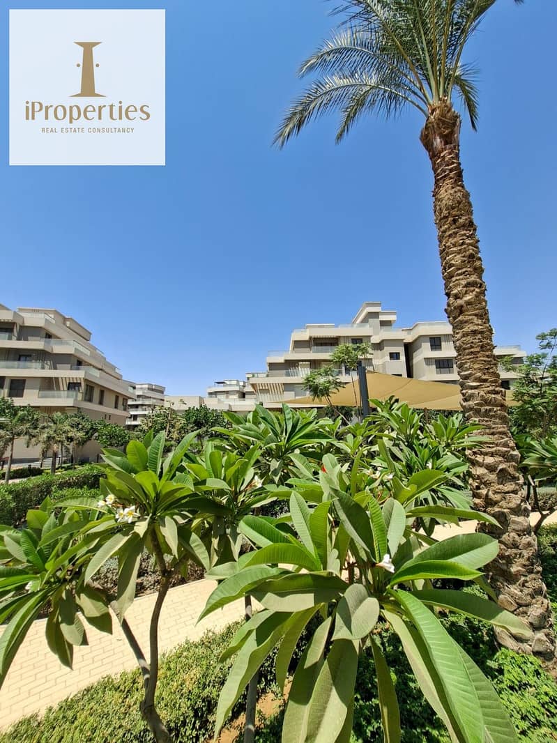 12 WhatsApp Image 2025-09-27 at 1.34. 04 PM. jpeg