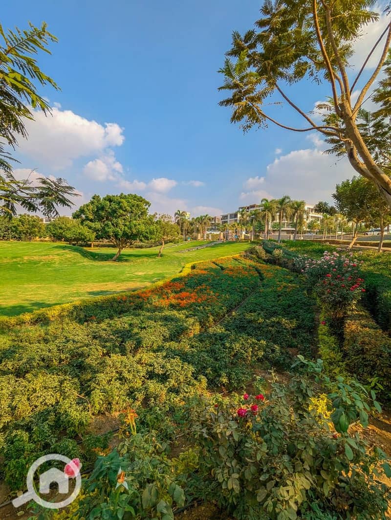 8 584341723_3060657634121943_8673948921656072109_n. jpg