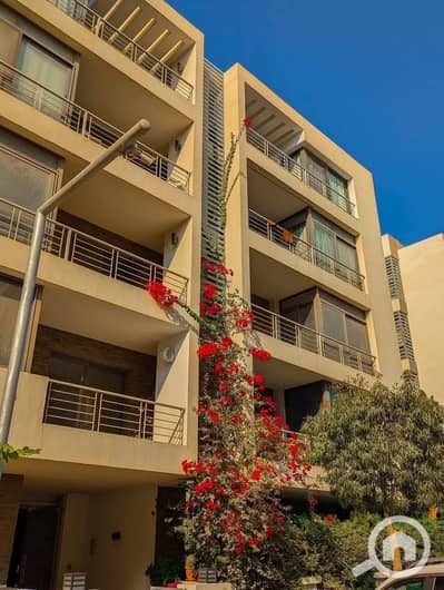 3 Bedroom Flat for Sale in New Cairo, Cairo - 590714119_122138407112954289_6981469075933386620_n. jpg