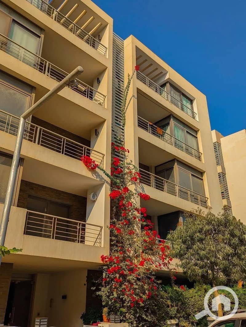 590714119_122138407112954289_6981469075933386620_n. jpg