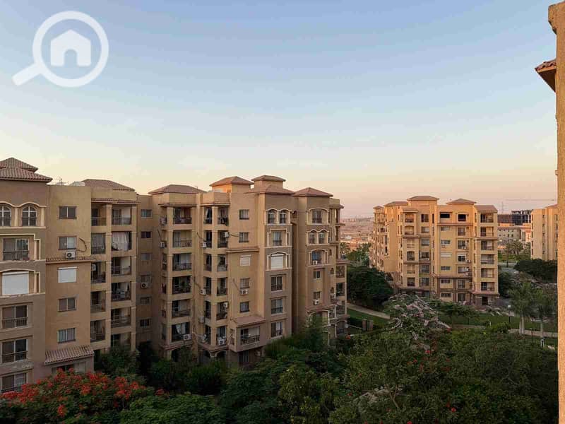 264021. jpg 264021. jpg