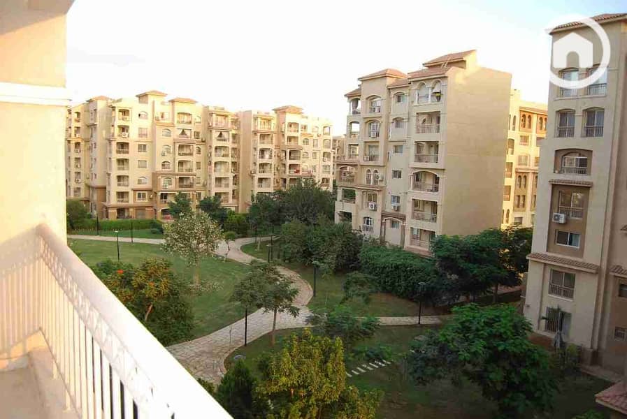 264148. jpg 264148. jpg