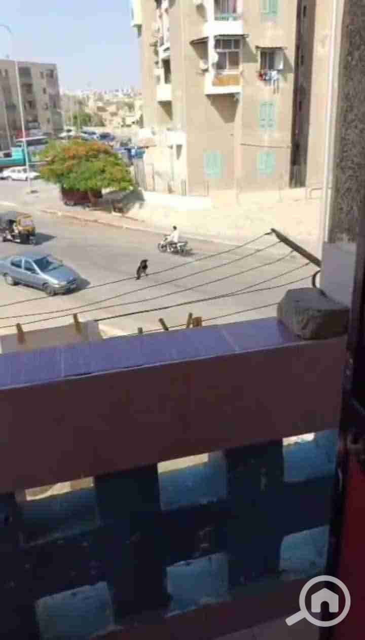 4 FB_IMG_1764342582564. jpg