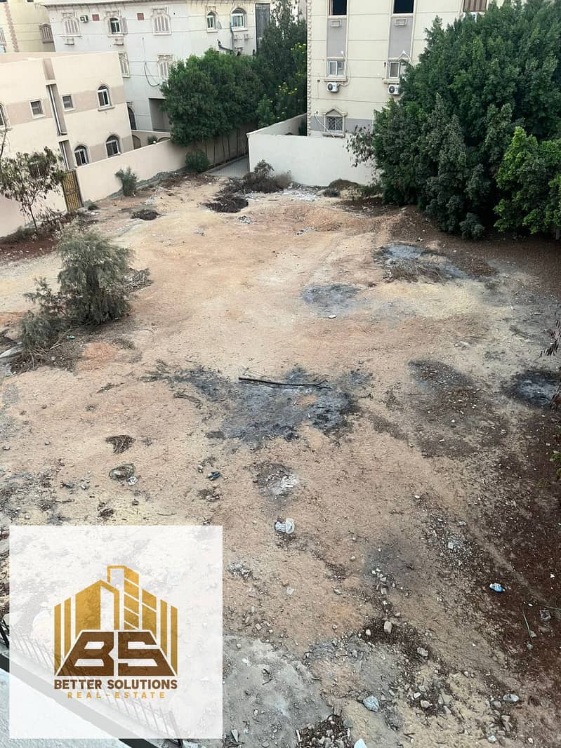 4 21c32f05-9a93-41df-8ae8-56e0ea193987. jpg