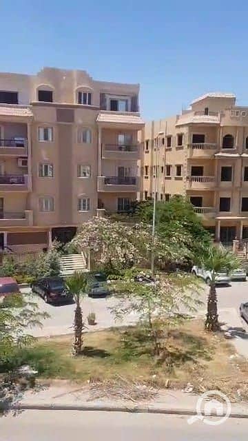 شقة 3 غرف نوم للبيع في الشيخ زايد، الجيزة - IMG-20251119-WA0095. jpg