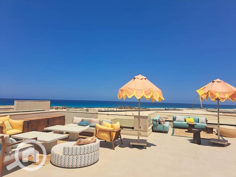 4 cd063a92-060f-4119-87f6-c843b0e7e763. jpeg