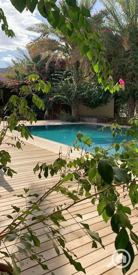 3 574333918_2521326608268231_7159372779476006065_n. jpg