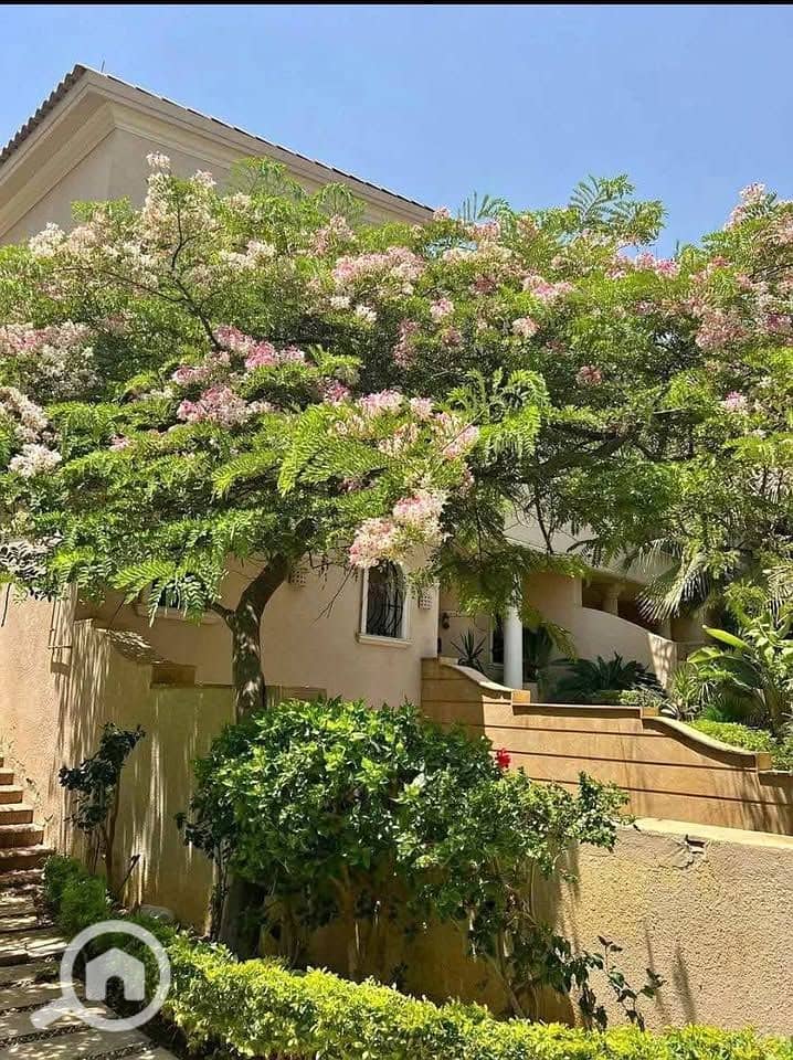 7 574445165_2521326761601549_5109433005607848206_n. jpg