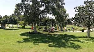 19 download (4). jpeg