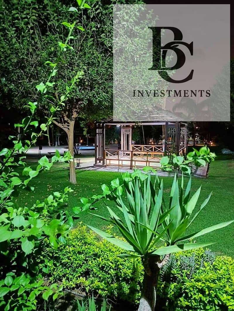 10 13b9b981-eef8-48b1-b185-4835cf3be17e. jpg