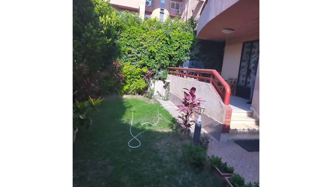 IMG20250604172717. jpg