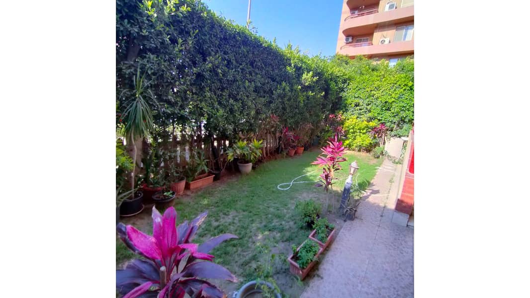 19 IMG20250604172706. jpg