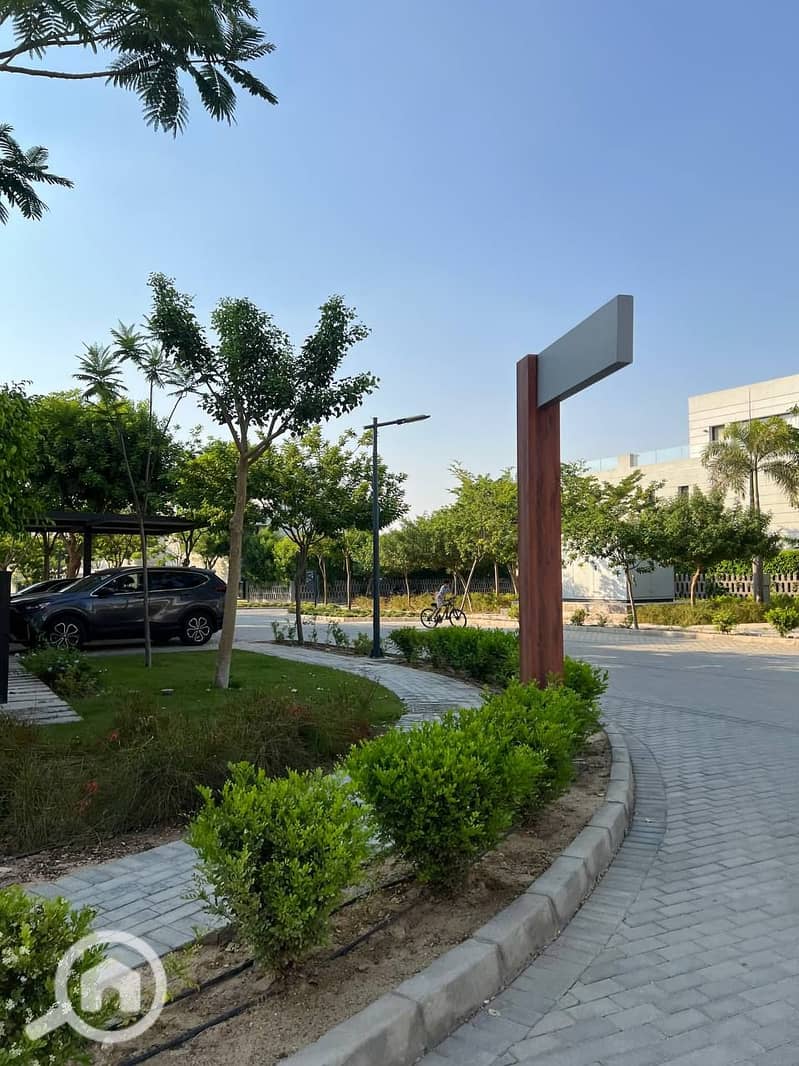 8 photo_2025-07-14_23-11-32. jpg