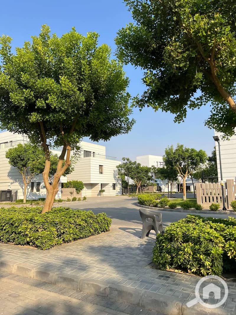 9 photo_2025-07-14_23-11-30. jpg