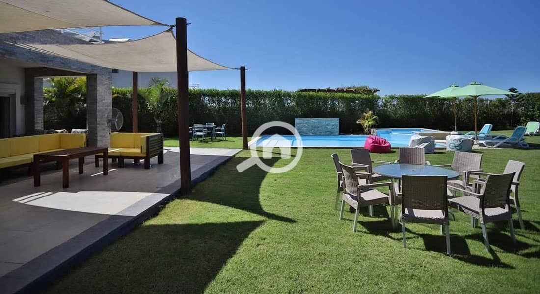 2 photo_2025-07-26_02-25-35. jpg