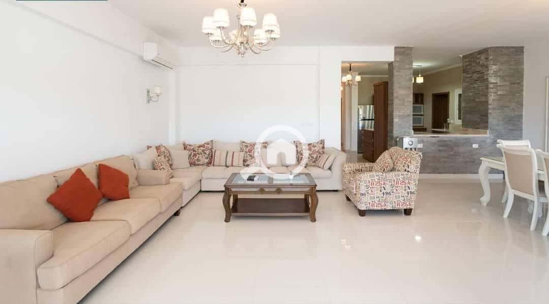 7 449363243_2489337991269262_345672838300648532_n. jpg