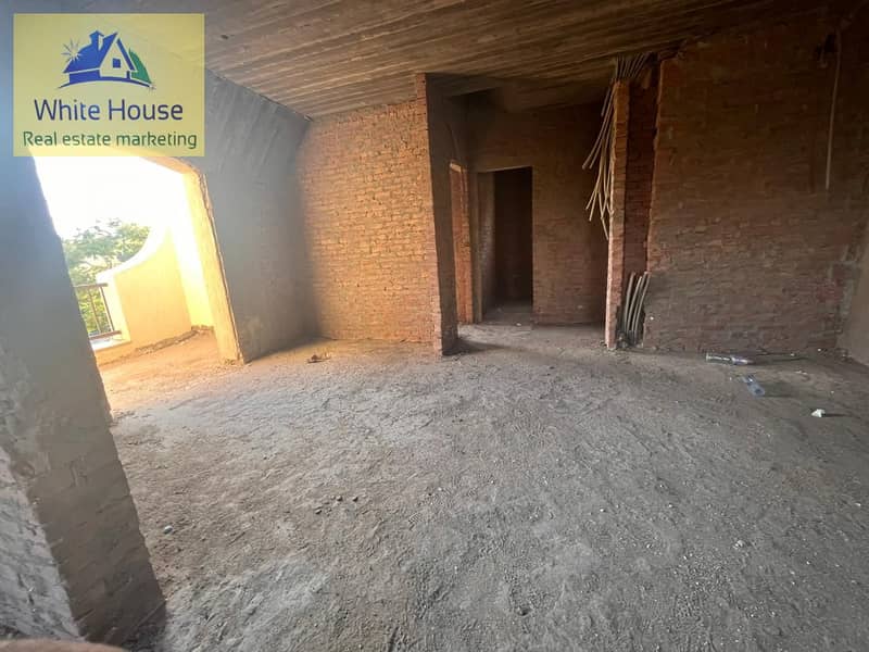 31 df1d5d36-c724-4cc1-8c32-53e9e0cd53a0. jpg