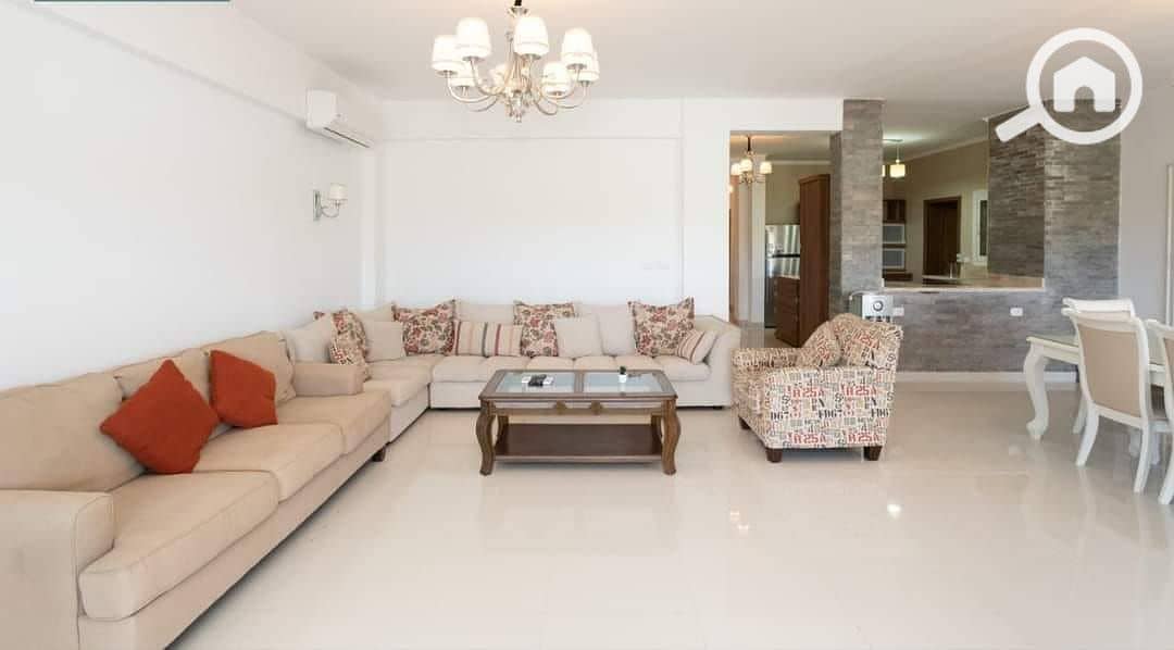 3 449363243_2489337991269262_345672838300648532_n. jpg