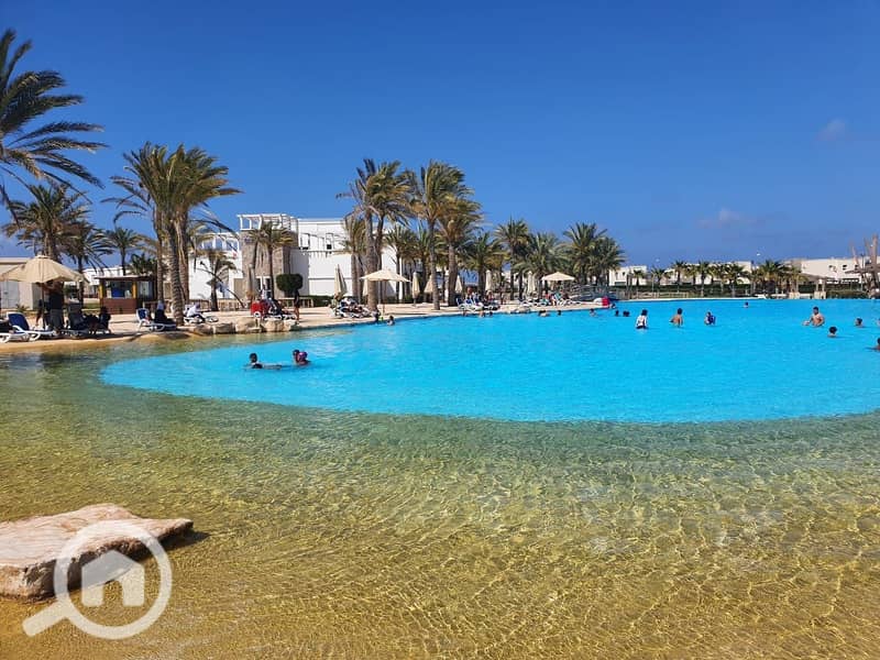 10 471913650_580527034592567_42267535475342313_n. jpg