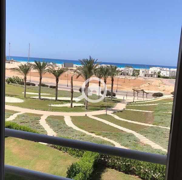 6 480463364_615099021135368_6938382376752660740_n. jpg