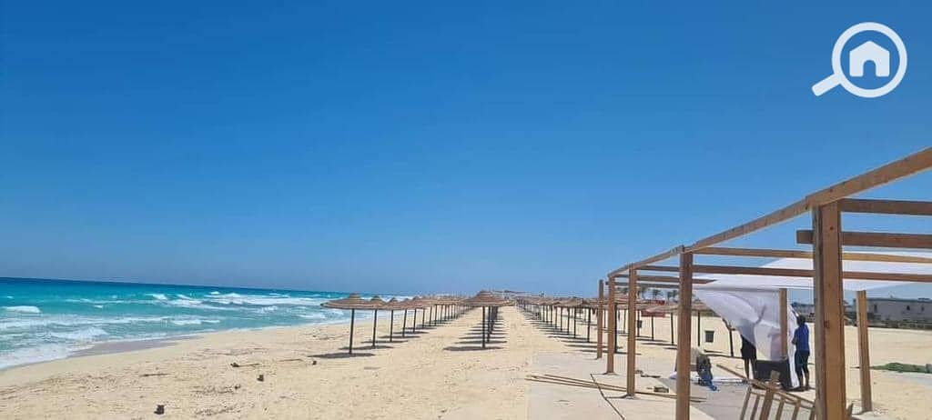 7 471664848_580526907925913_7096304882999245440_n. jpg