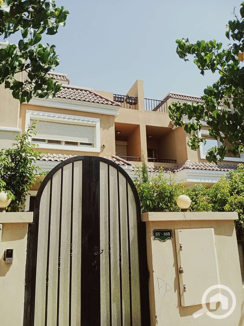 2 photo_2025-07-17_01-08-43. jpg