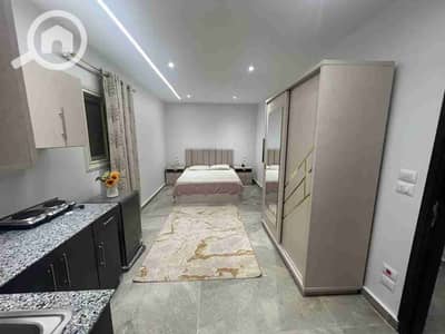 1 Bedroom Flat for Rent in New Cairo, Cairo - 1000110196. jpg