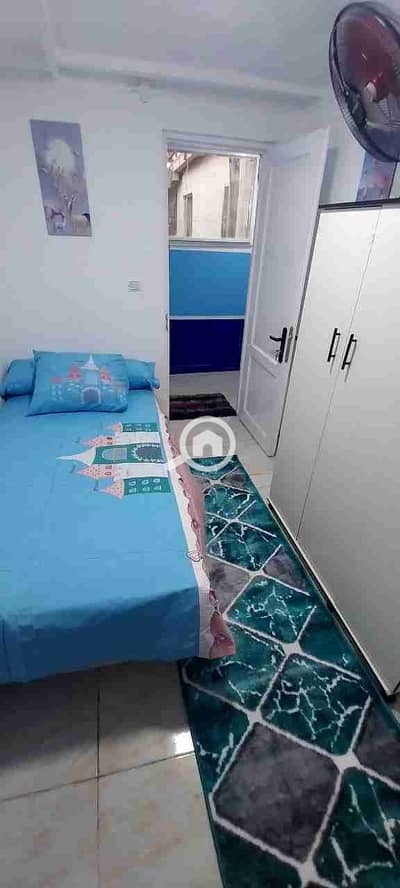 Studio for Rent in New Cairo, Cairo - 1000132341. jpg Studio for Rent in New Cairo, Cairo - 1000132341. jpg