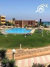 2 WhatsApp Image 2025-02-15 at 10.36. 33 PM. jpeg