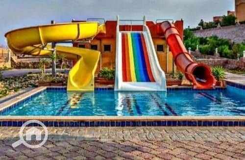 4 WhatsApp Image 2025-02-15 at 10.36. 33 PM (1). jpeg