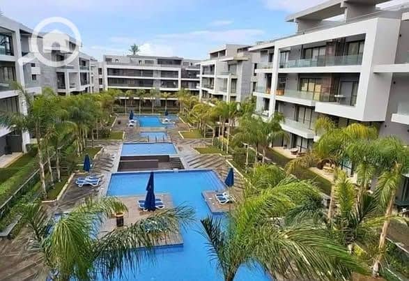 6 585217614_1388886025942496_8735911941415714445_n. jpg