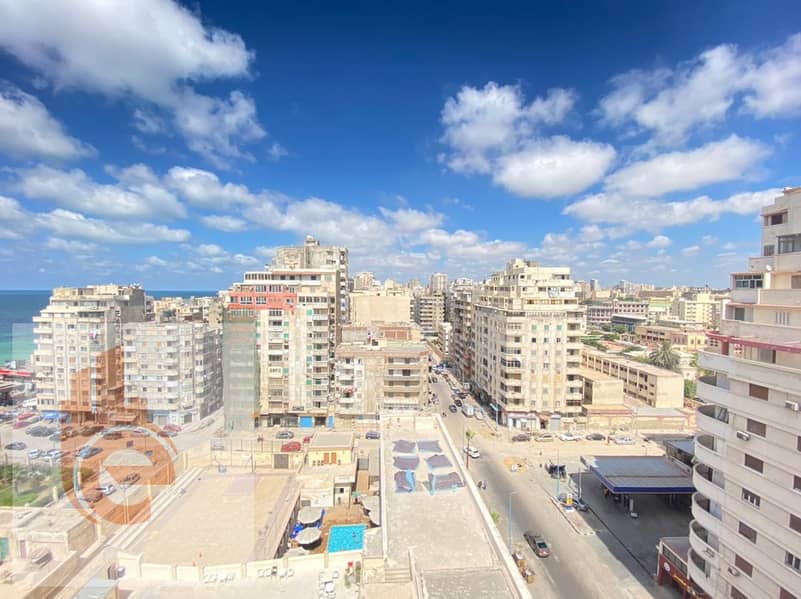 2 28153438-8e9a-404a-9d98-1ac7282b67ce. jpg