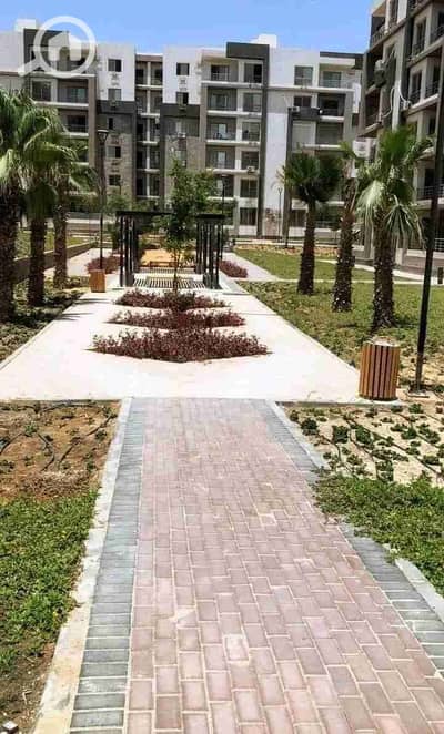 3 Bedroom Apartment for Rent in Sheikh Zayed, Giza - 52441. jpg