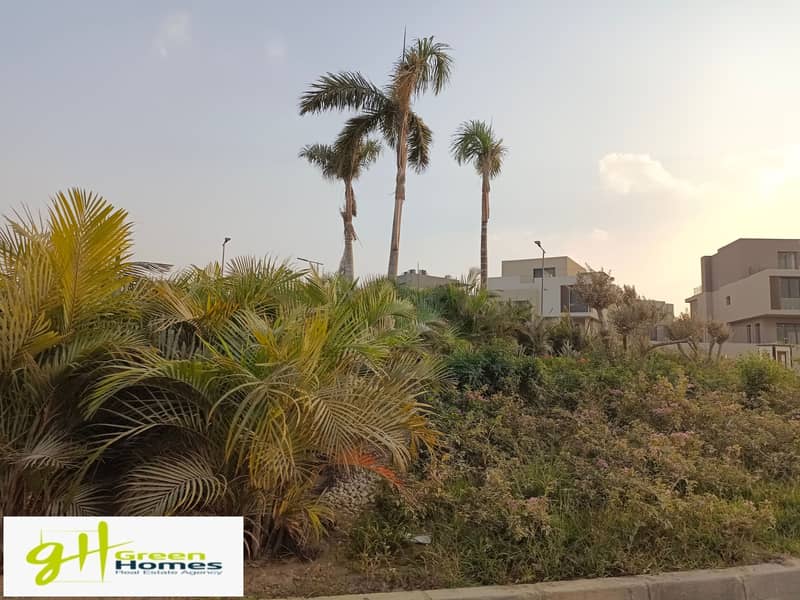 3 IMG_20231009_171219. jpg