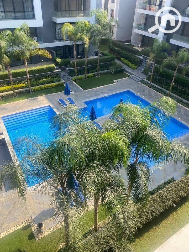 10 560050048_122133926984944771_8992289119639729806_n. jpg