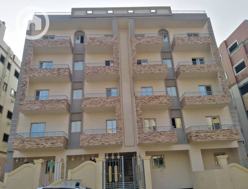 IMG_20210105_152359. jpg