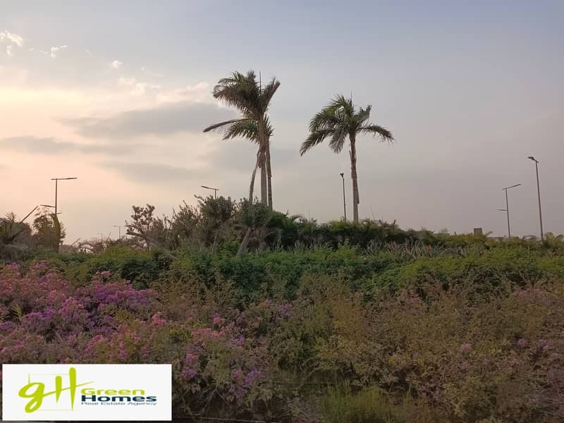 12 IMG_20231009_171212. jpg