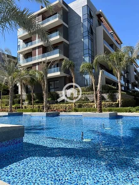 6 561320528_122171357546452447_3986650087829679698_n. jpg