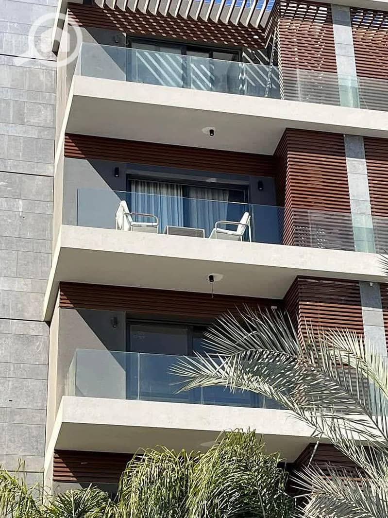 4 520382434_2484195878629770_7717200349929585173_n. jpg