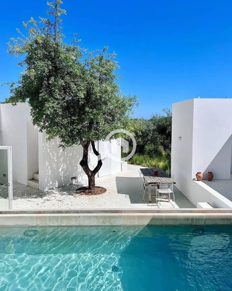 12 11f4d32b-ddab-4bee-b7ed-5cb6d2a03478. jpg