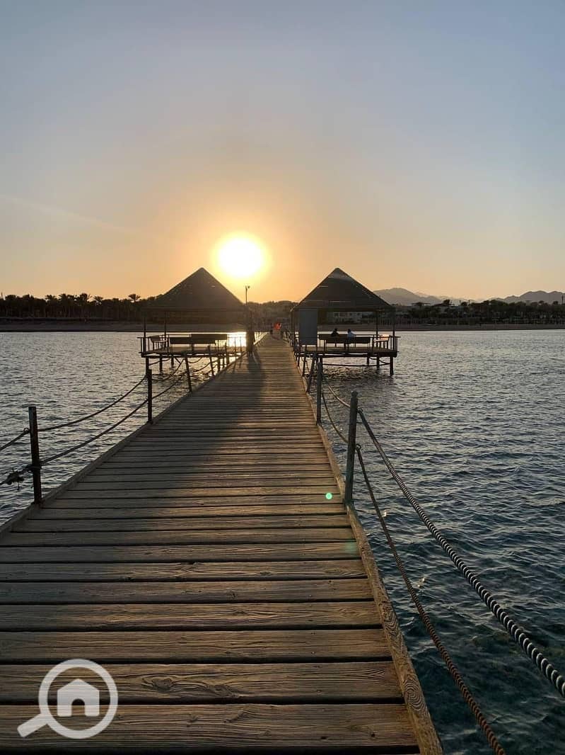 13 2f184a98-6ec6-429c-bf4d-5daba179c3ea. jpg