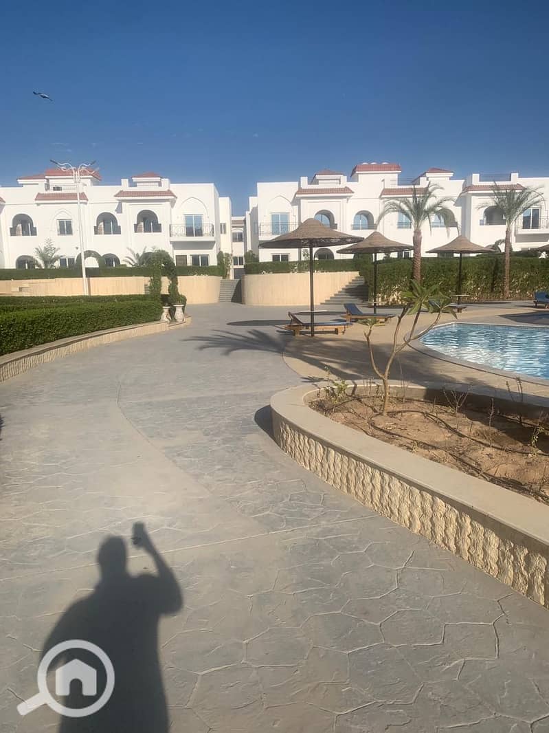 4 51fea630-b482-49c0-9e16-a1bd830a23ec. jpg