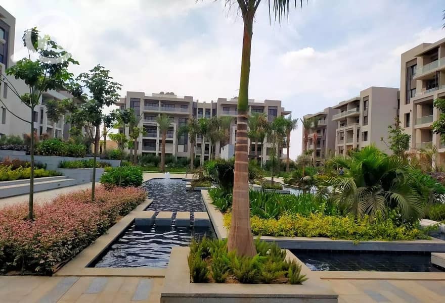 7 36762429-1318-4057-9f2d-e073da3513bd. jpg