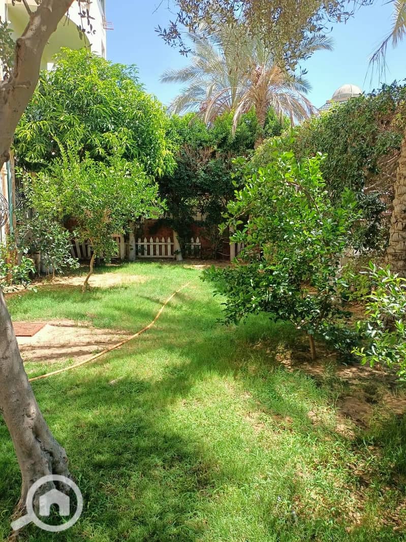 4 540687500_1425084021906063_5610200134633644252_n. jpg