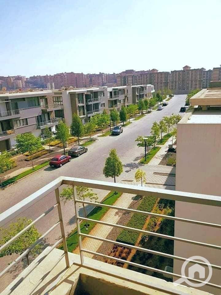 3 FB_IMG_1644202199358. jpg