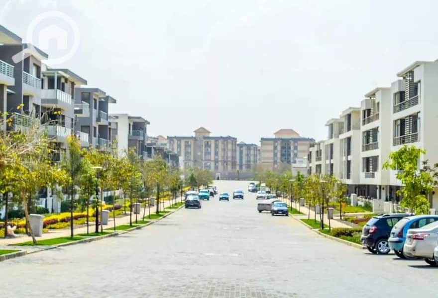 8 FB_IMG_1645028512665. jpg