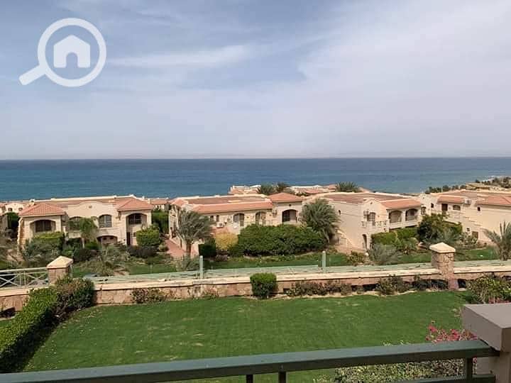 3 494343847_3249224181883402_8215985025156535614_n. jpg