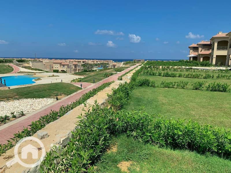 9 519937938_2900014630180499_6386280642988659341_n. jpg