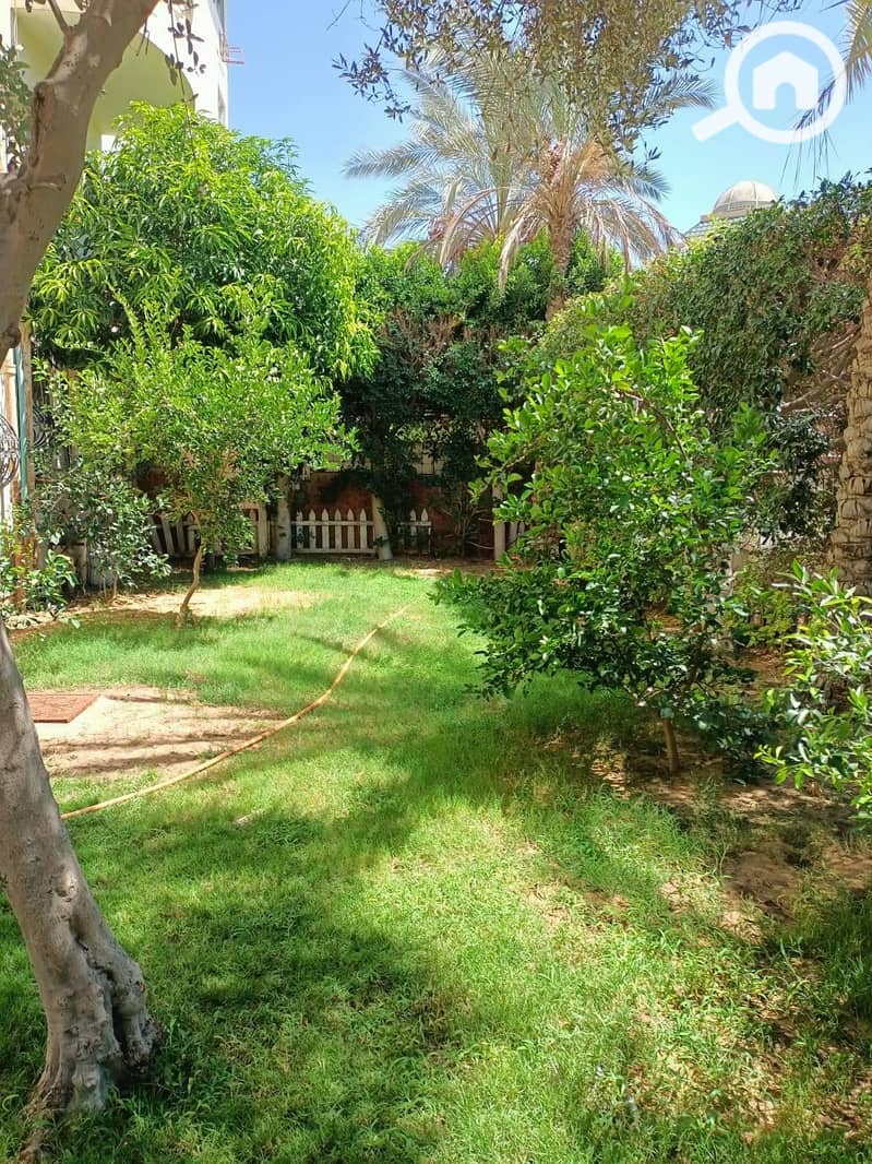 2 540687500_1425084021906063_5610200134633644252_n. jpg