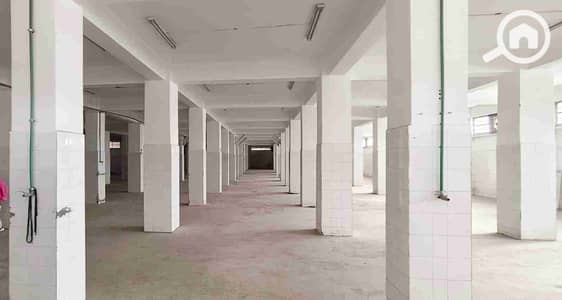 مصنع  للايجار في العاشر من رمضان، الشرقية - 1000115699. jpg